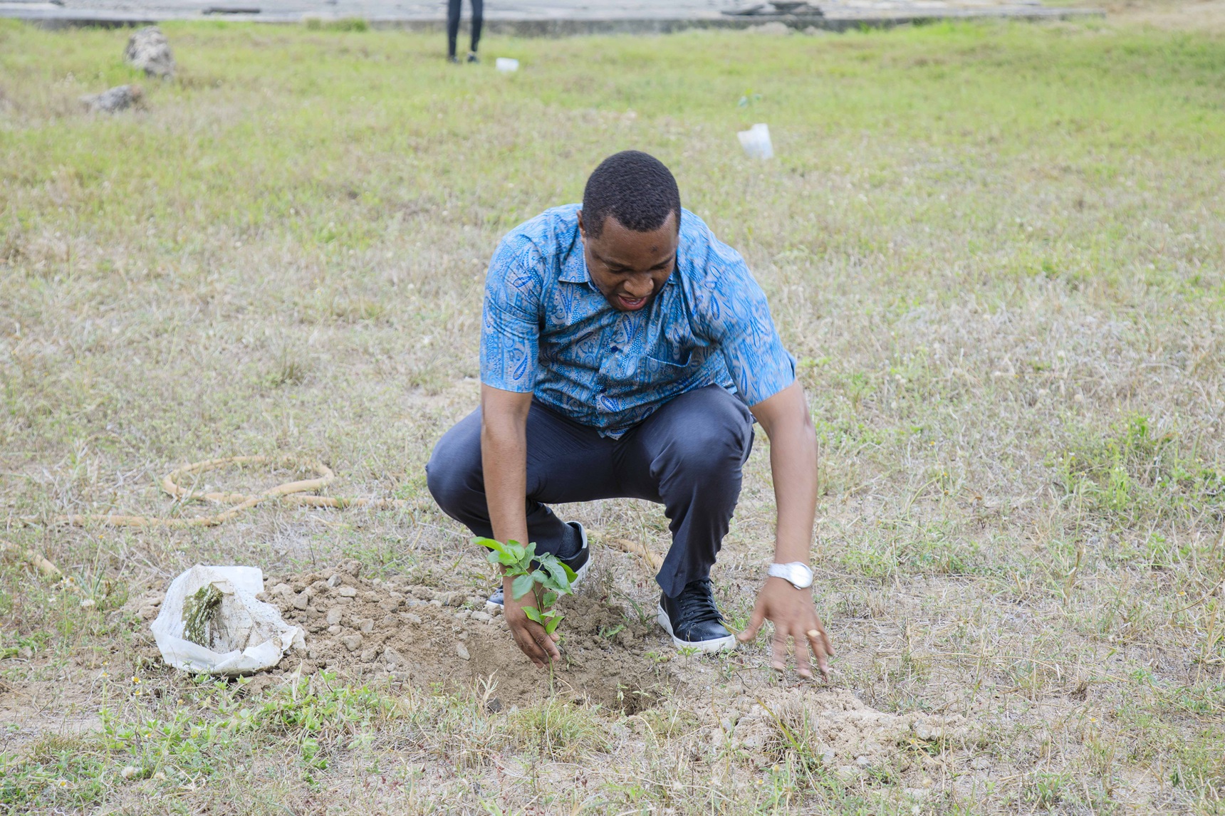 UDSM@65: Planting Trees