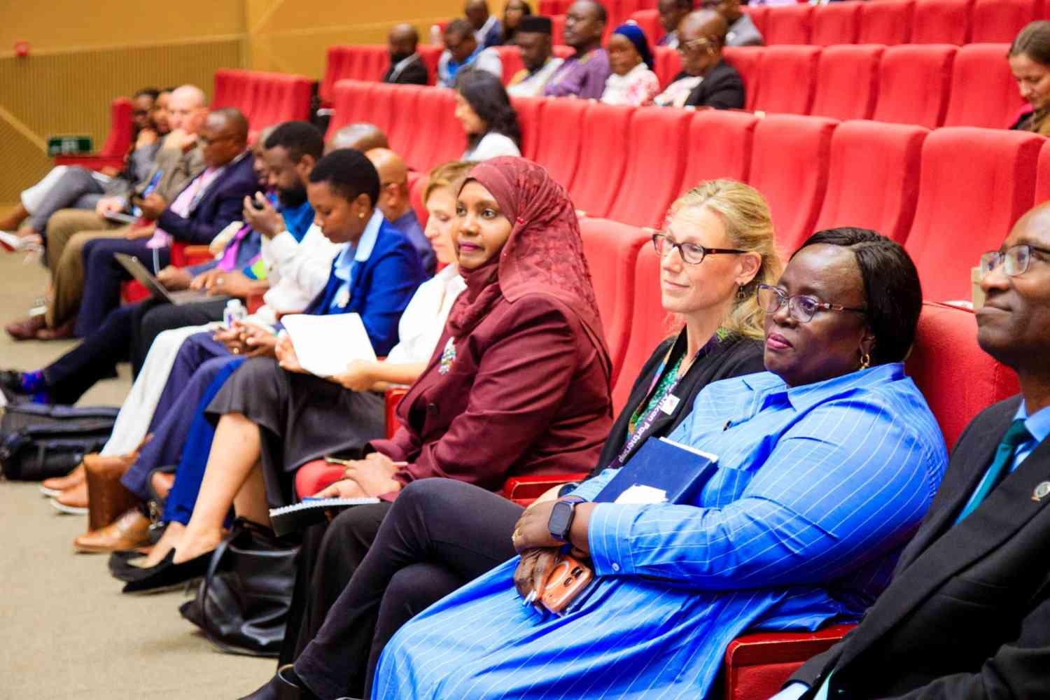  Annual Meeting of the Alliance for African Partnership (AAP)