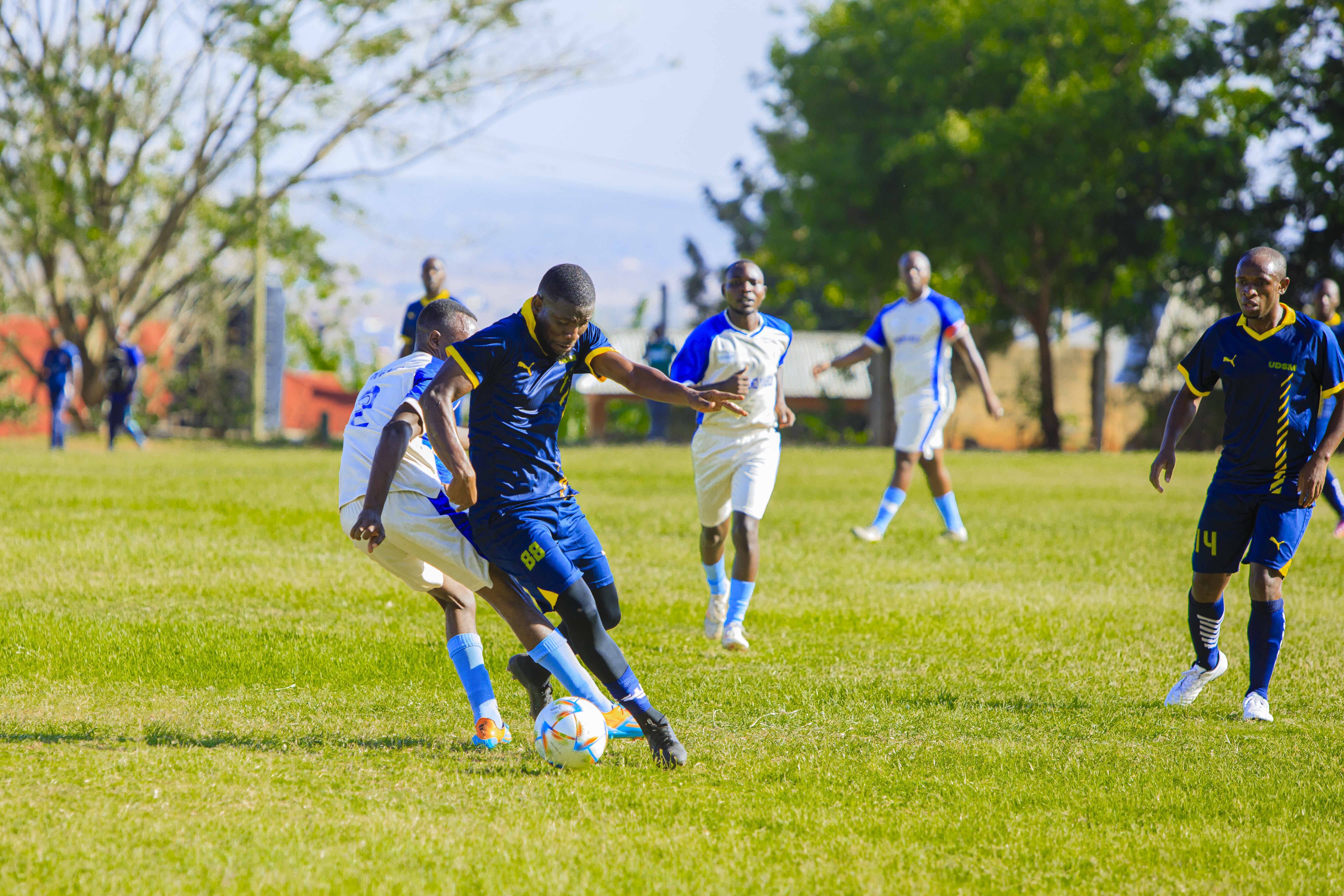 UDSM Staff Make Waves at SHIMMUTA 2025