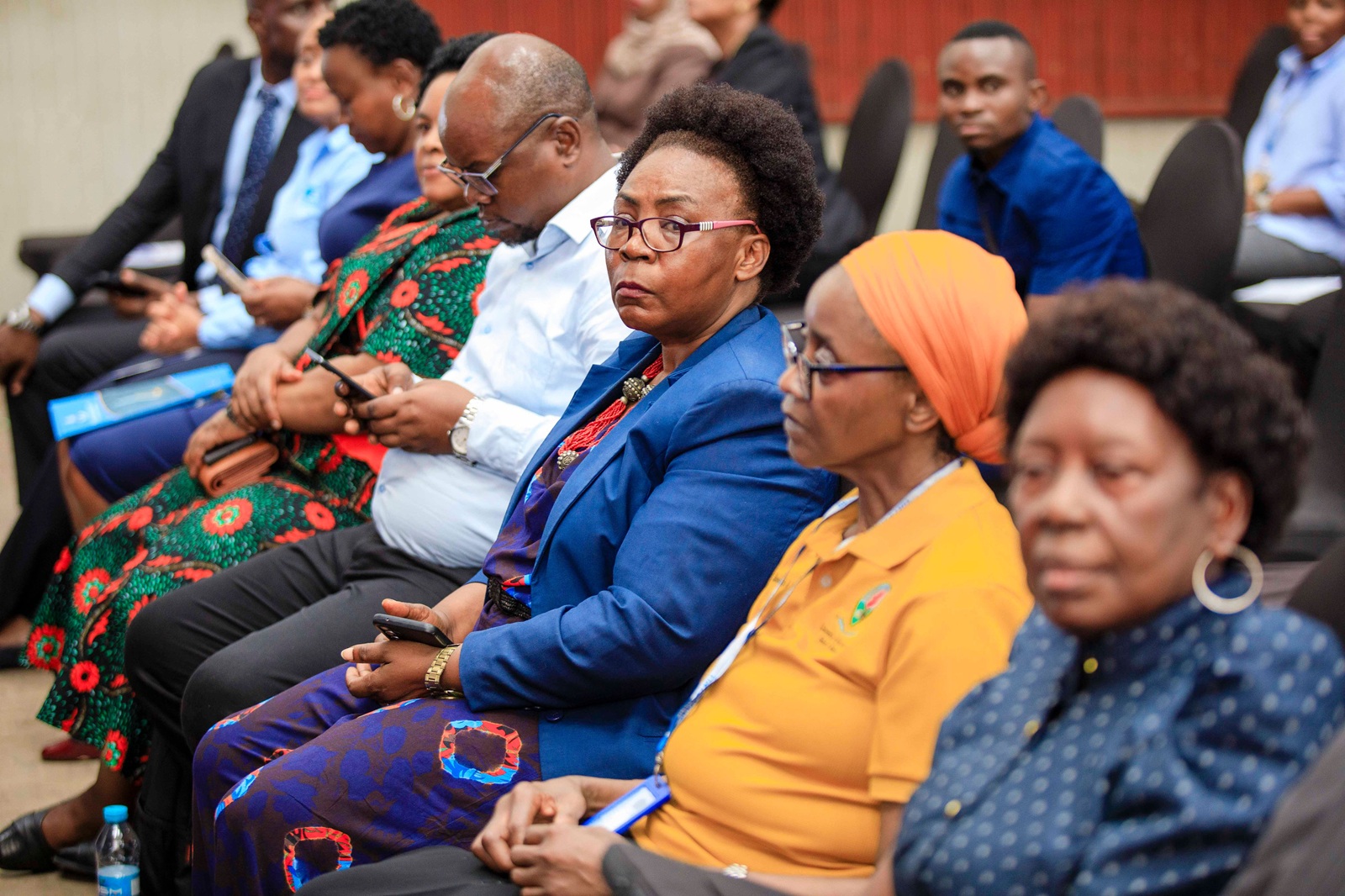 Experts Urge Tanzania to Turn Critical Minerals into Industrial Growth Engines
