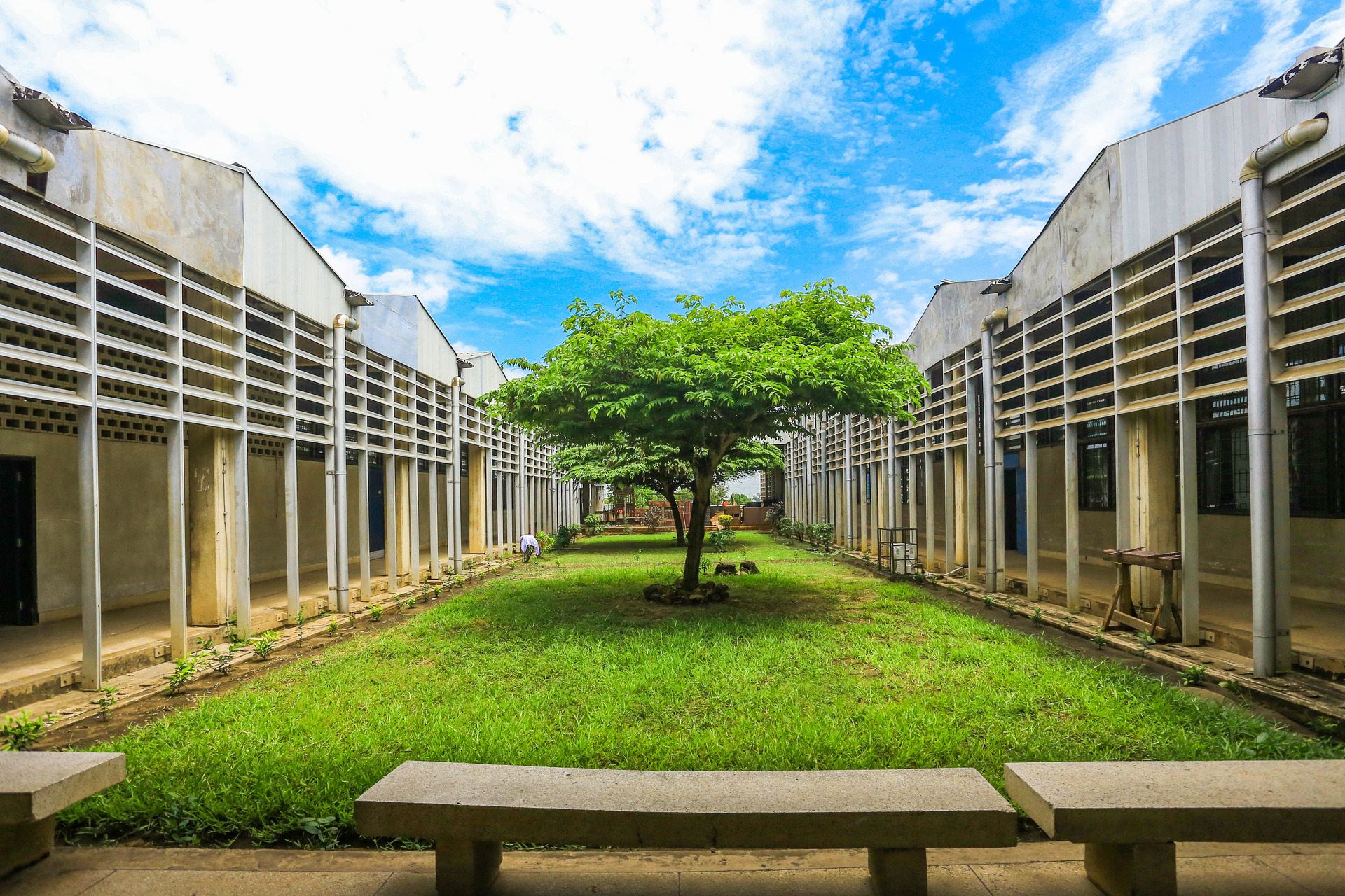 udsm